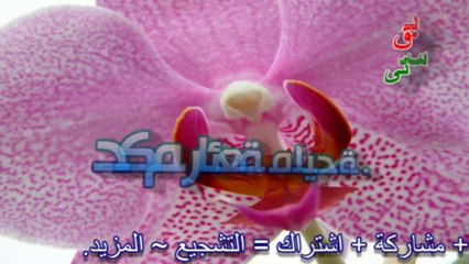 حكم رائعة مليحة كن أول من يستمع إليها.