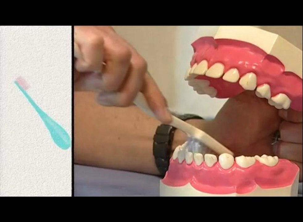 les dents