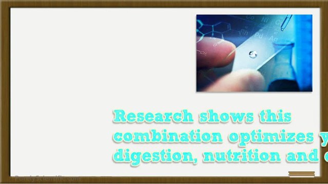 Digestive Enzymes: Tips To Minimizing Weight Gain This Holiday