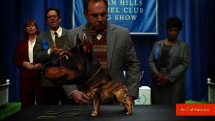 Audi Debuts Hilarious 'Doberhuahua' Super Bowl Commercial 🐶🚗