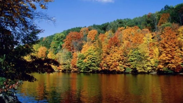 MOJE MIEJSCE NA ZIEMI