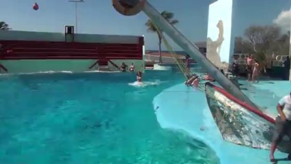 WWW.DANSACUBA.COM.Quel bonheur de nager avec les dauphins en decembre 2013