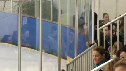 Midwest Region Sectionals Final Round CEFSC PreJuv IceStars 5th place - Jan 2014