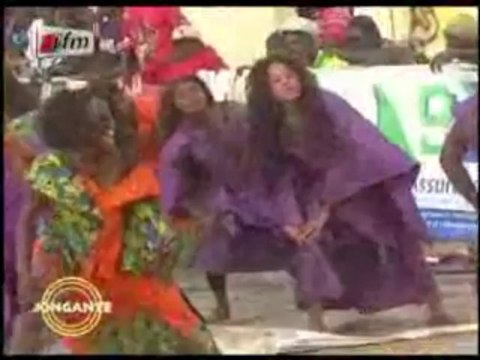 Combat Mod Dia Cheikh Nguirane et tous les petits combat, les meilleurs chutes du week-end