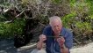 細看進化島(Galapagos with David Attenborough) Ch01