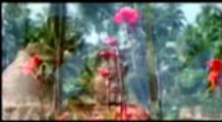 fais Jis Pat Pe Chala faibe (7)