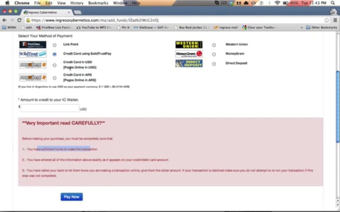 Learns How To Add Funds To Ingreso Cybernetico-Money Making Site