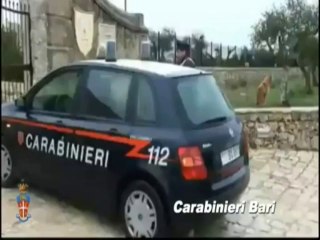 BENI CONFISCATI DAI CARABINIERI 26-1-2014