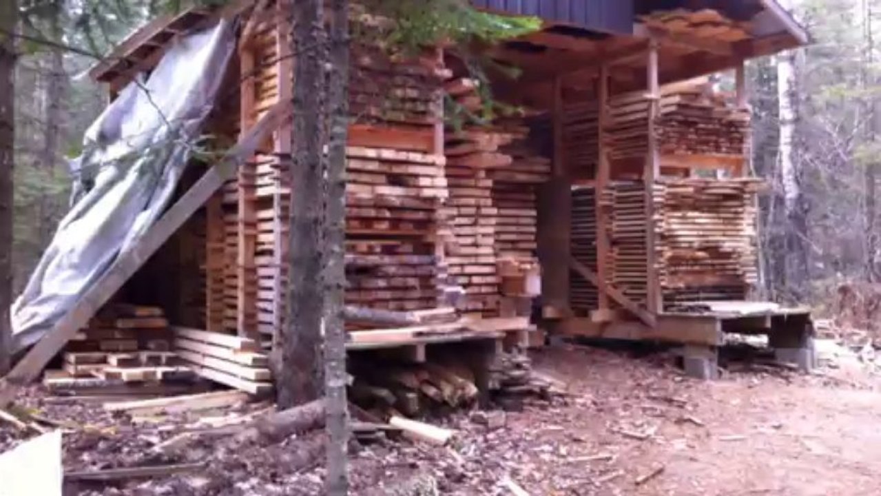 Une petite coupe de bois