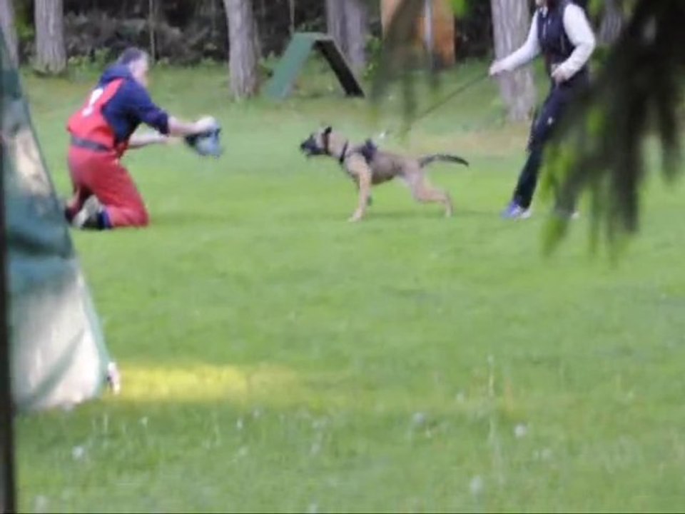 Be Aware Flash @ Schutzdienstaufbau (20 Wochen/Weeks)