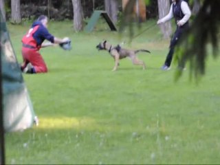 Be Aware Flash @ Schutzdienstaufbau (20 Wochen/Weeks)