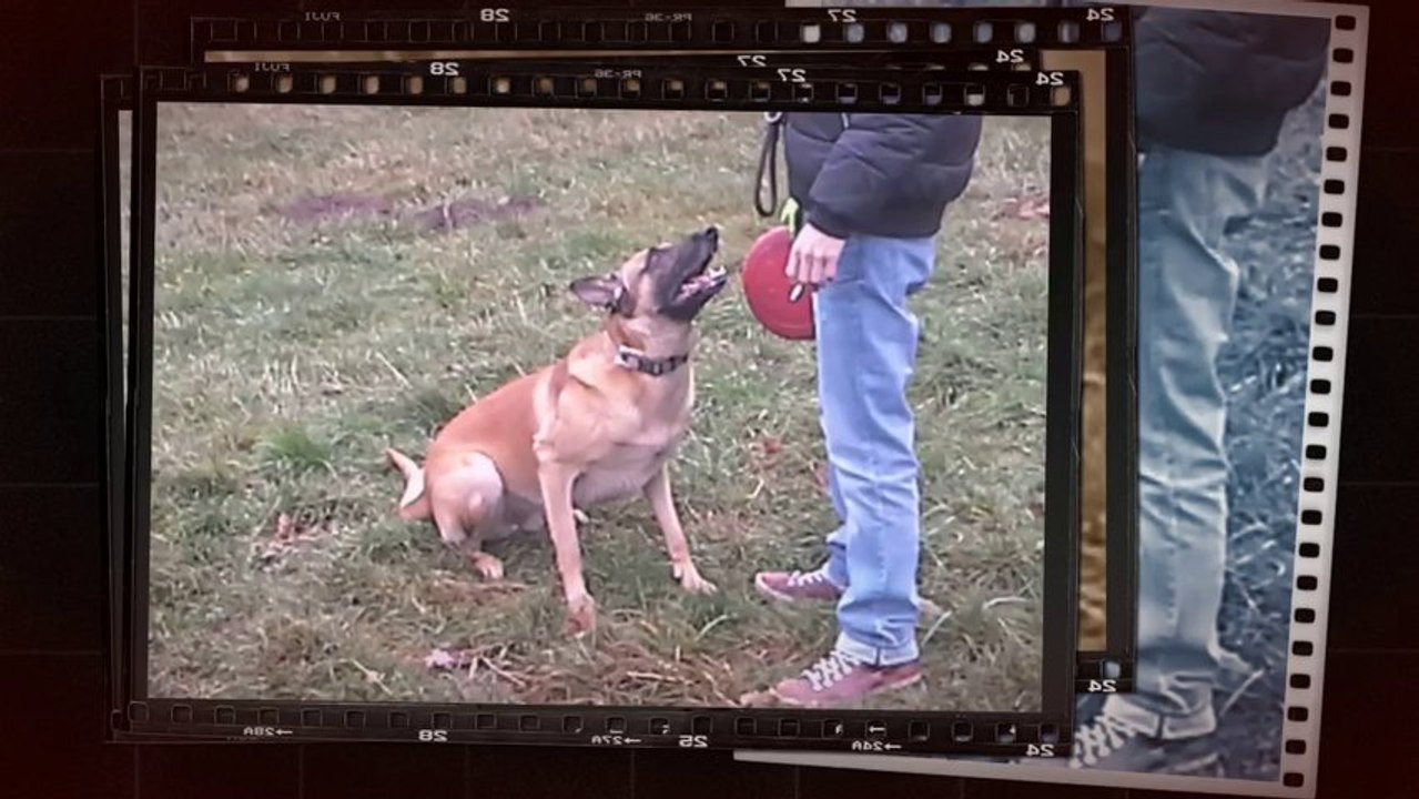 Be Aware C'Rex @ Frisbee!