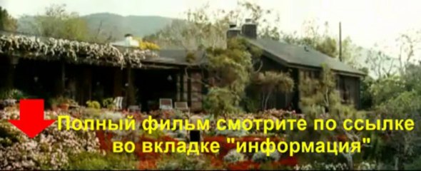 Семь жизней