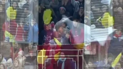 Pope's peace doves attacked by crow and seagull