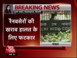 हाईकोर्ट ने दिल्ली सरकार को फटकार लगाई