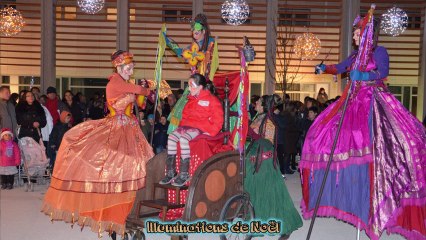 Cérémonie des voeux à Velaux - Janvier 2014