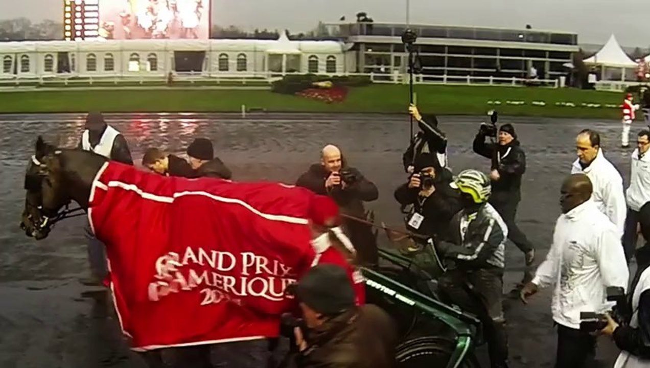 Maharajah Leader et vainqueur du Grand Prix d'Amerique 2014 pour la Suede - Be Leader by New3S