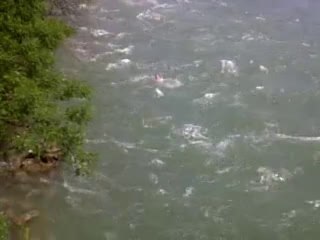 vidéo inondation| Choc il se baigne en pleine crue!!