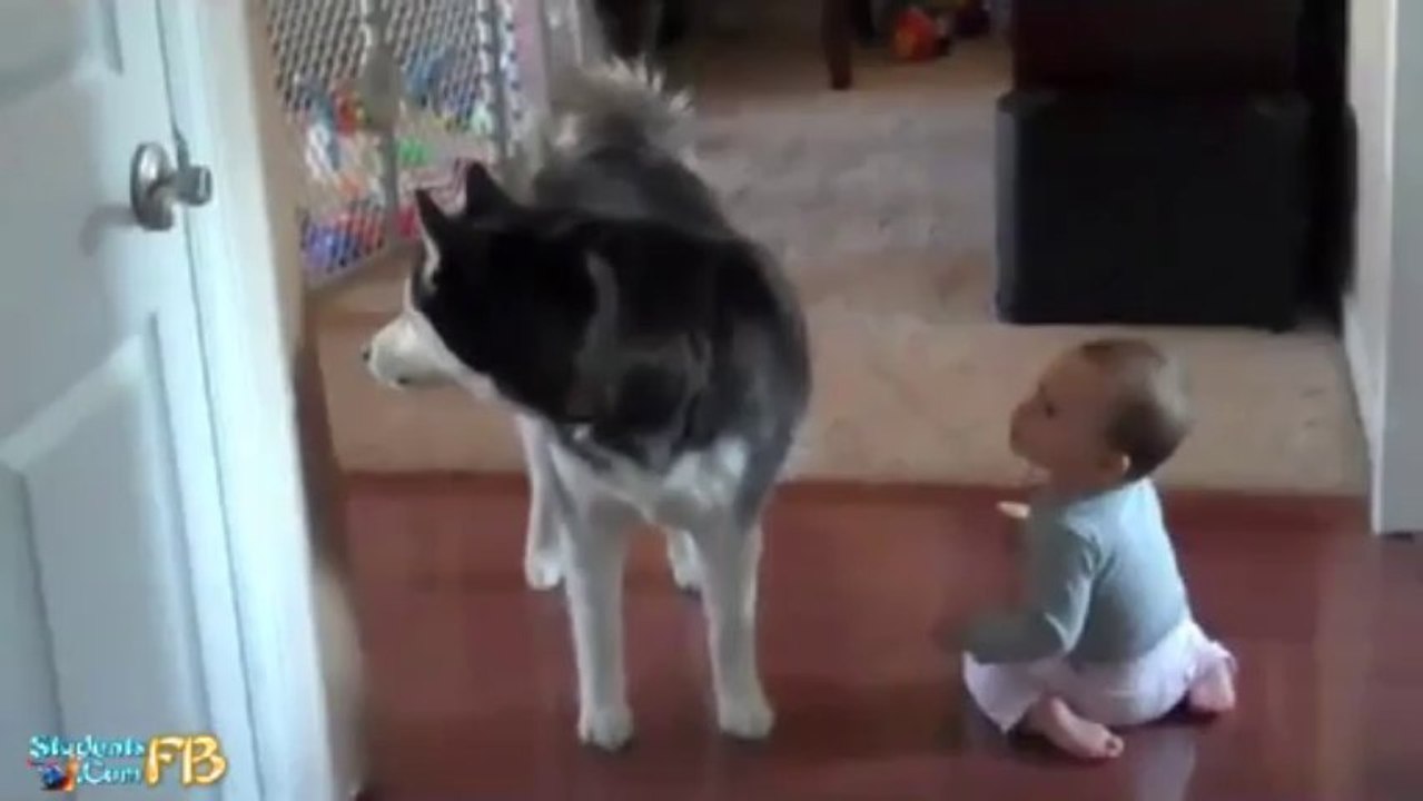 Dog imitates baby