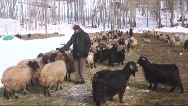 Köylülerin zorlu ot yolculuğu