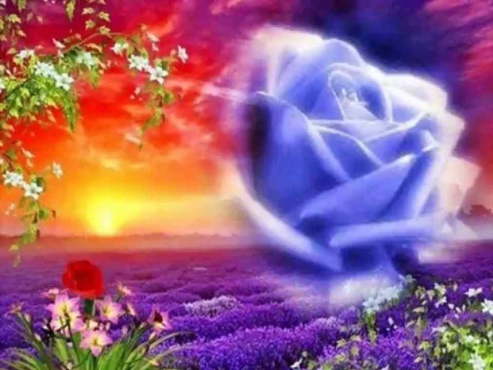 pour ma mama de coeur je suit vraiment très fière d ettre ta fille de coeur tu et une femme en or tu et très gentille et surtout ma change pas reste comme tu et je t aime très très for gros bisous ta fille de coeur stéphanie