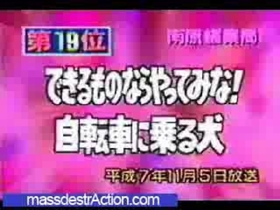 Chien qui fait du vélo ^^ Japon