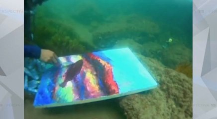 días, 7 imágenes -P13