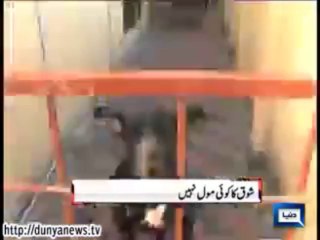 Passion, But Carefully, Animal Husbandry, Meet a Pair of Dogs That Has a Luxury Lifestyle