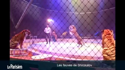 Le Festival du Cirque de Massy a tenu ses promesses