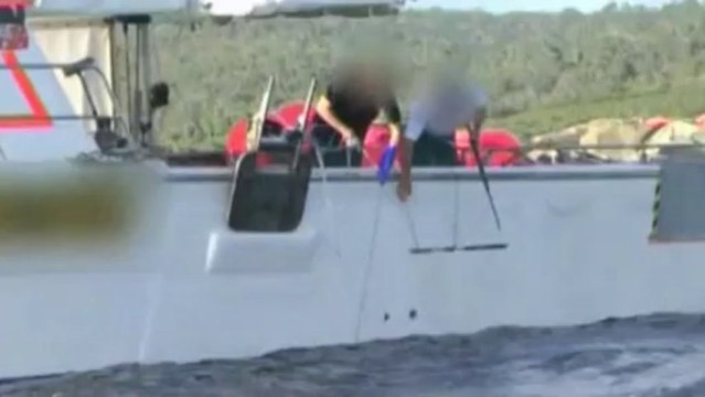 First shark killed as part of Western Australia's cull