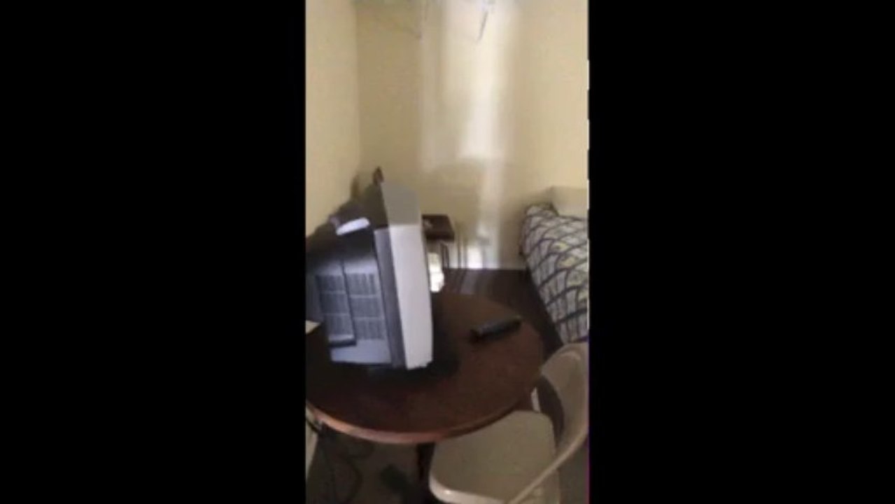 Lake Palestine Resort Lodging