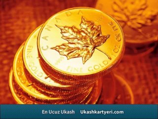 Ukash evi nasıl çalışıyor