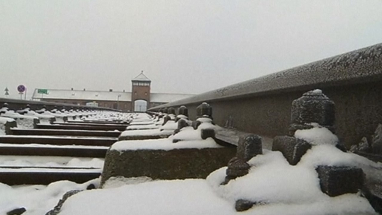Return to Auschwitz