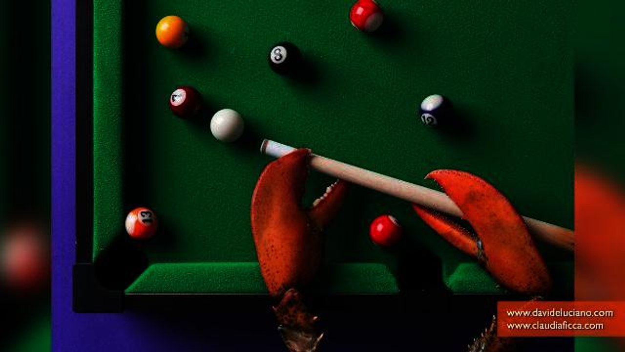 Surreal Food Photos Shows Animal Feet in Whimsical Activities