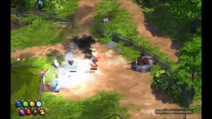 Présentation de Magicka