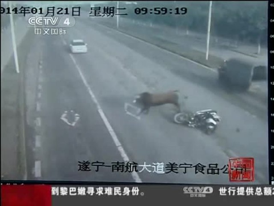 Taureau vs Moto (Chine)