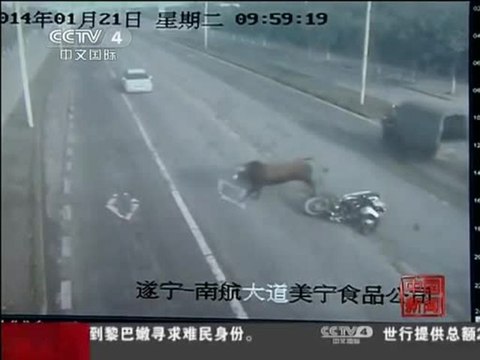 Taureau vs Moto (Chine)