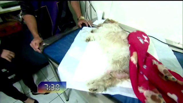 FALA BRASIL 20131019 1 SABADO COM PATRICIA COSTA & TALITA(00h00m00s-00h36m06s)