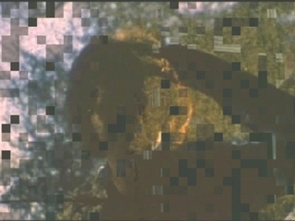 clip texas chainsaw massacre