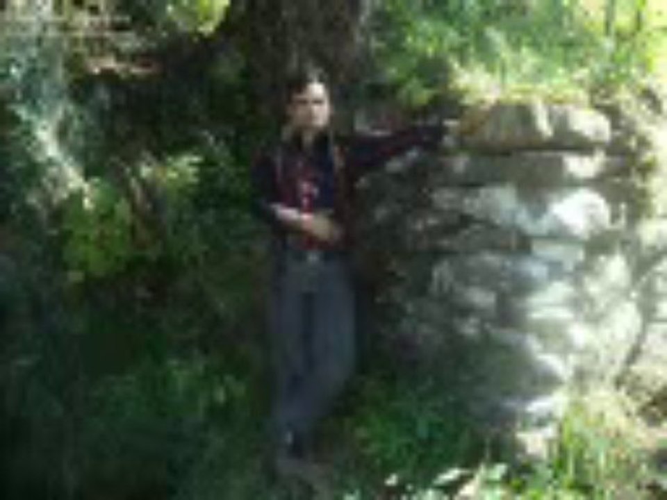 YASIR