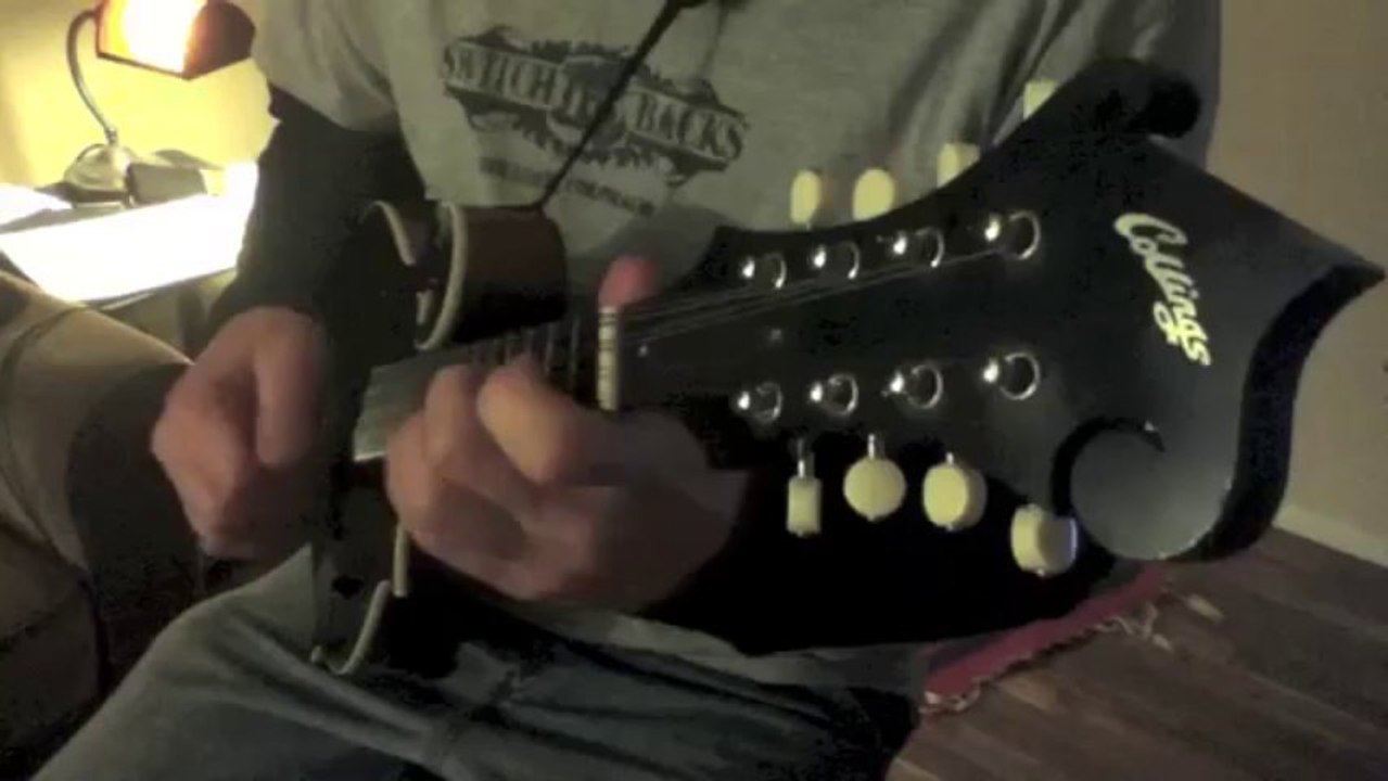 Mandolin Tuner - Standard Tuning