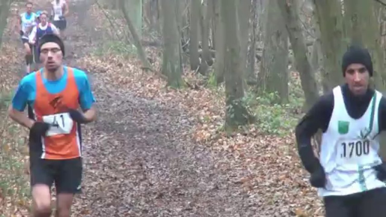 Cross séniors hommes