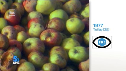 1977 : la tradition fout le camp