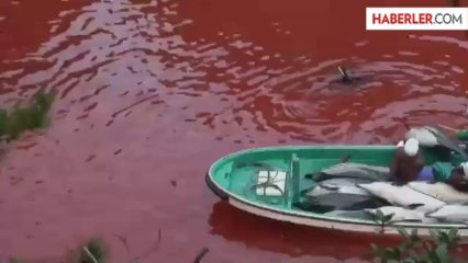 Ünlülerden, Yunuslar İçin "Benim Bir Dostum Var" Kampanyası