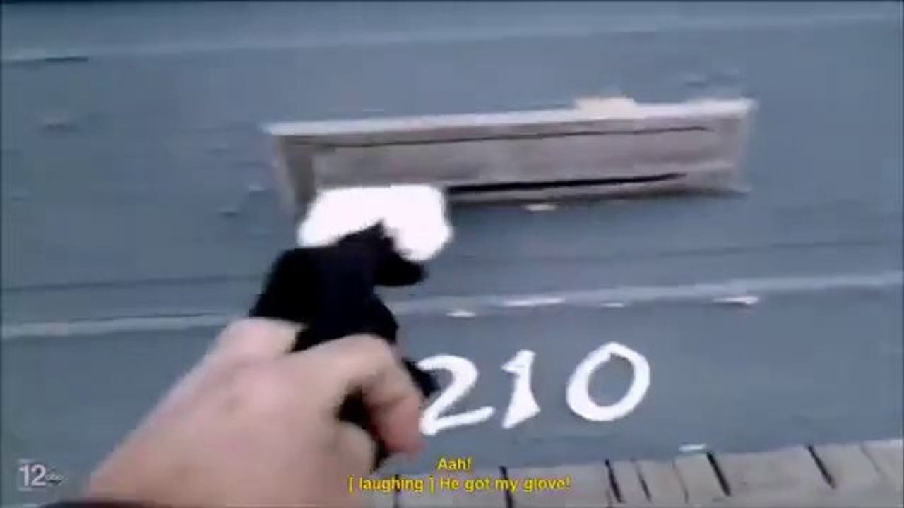 Facteur vs Chat - combat violent!