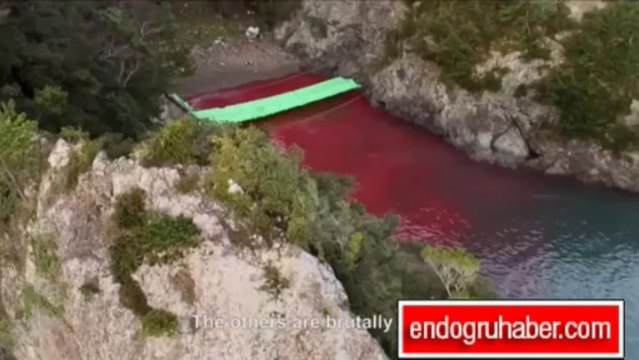 Sanatçılar Yunus katliamına' sessiz kalmadı!..