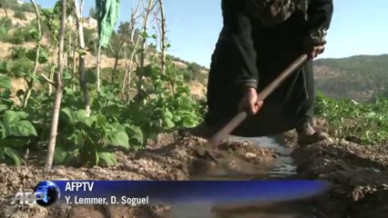 Israel barrier threatens to split West Bank villages