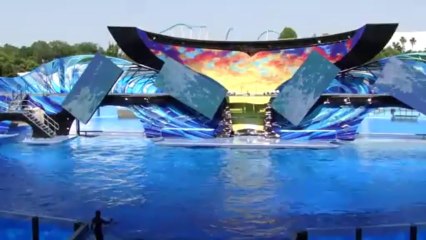 SeaWorld Orlando's _One Ocean_ Show - OPENING DAY (Full Show)