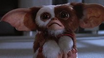 Gremlins (1984) - Movie Trailer