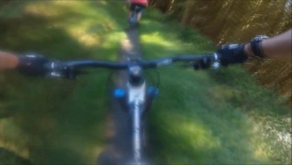 Rider Gets Wiped Out By Tree! Penmachno Trail CRASH